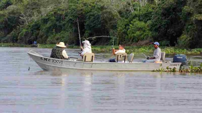 Pesca volta a ser liberada a partir desta quarta em todo Mato Grosso do Sul