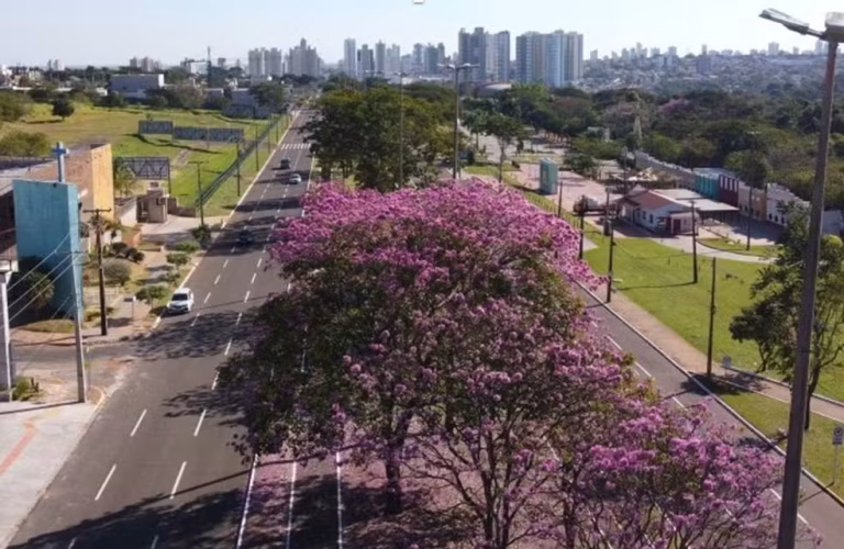 Inmet emite alerta de tempestade e baixa umidade para 39 cidades de MS